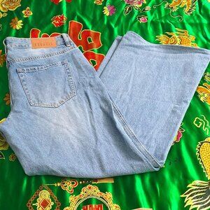 PacSun Casey Low Rise Baggy Jean